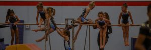 Redlands Gymnastics Background Dark